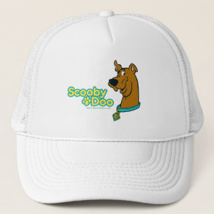 Scooby-Doo Winking Trucker Pet