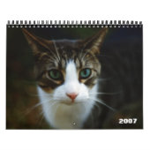 SCOOTER 2007 KALENDER (Hoes)