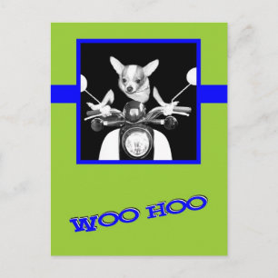 Scooter Chihuahua Briefkaart