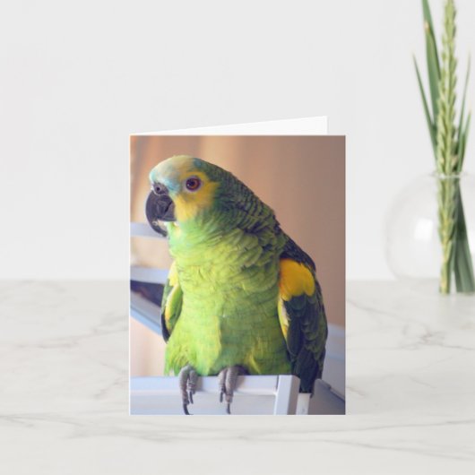 scooter kaart (Voorkant)