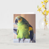 scooter kaart (Gele Bloem)