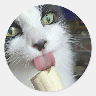 "Scooter met bananensnack" Ronde Sticker