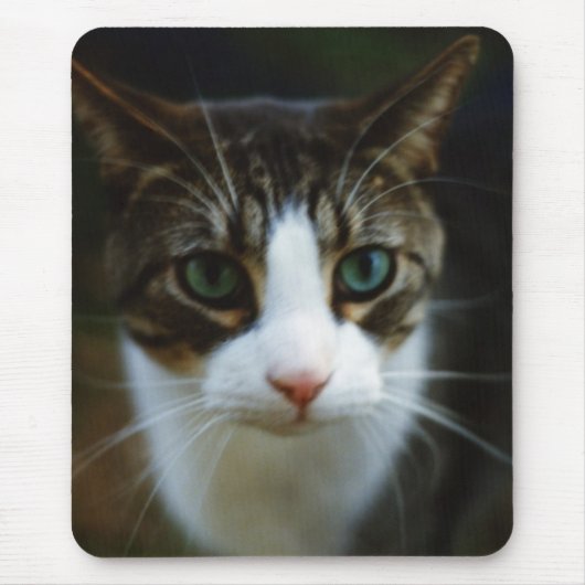 SCOOTER MUISMAT (Voorkant)