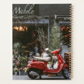 Scooter rouge vintage (Dos)