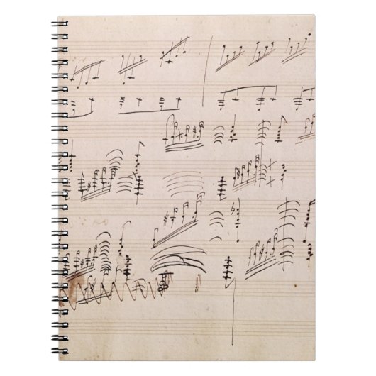 Score sheet van 'Moonlight Sonata' Notitieboek (Voorkant)
