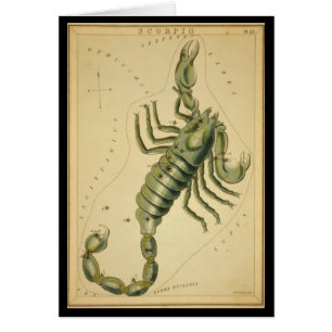 Scorpio