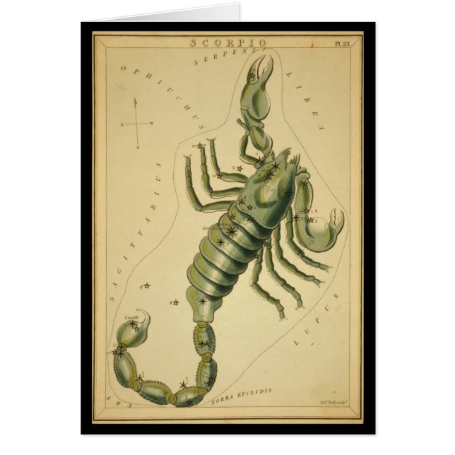 Scorpio (Voorkant)