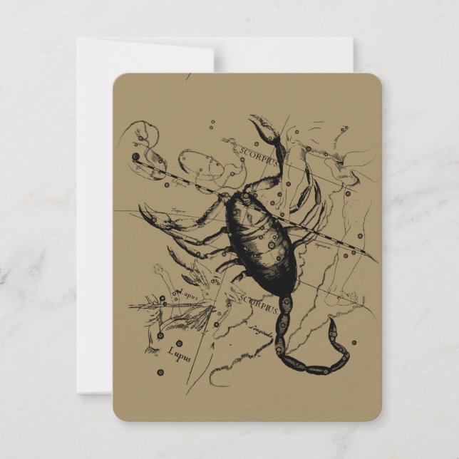 Scorpio Constellation Hevelius 1690 Decor (Voorkant)