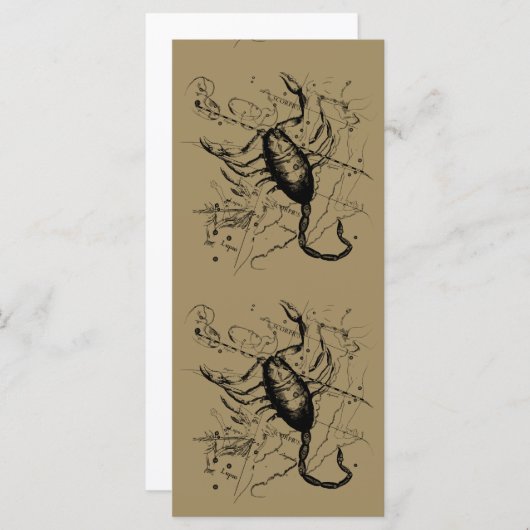 Scorpio Constellation Hevelius 1690 Decor (Voorkant / Achterkant)