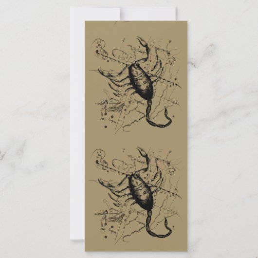 Scorpio Constellation Hevelius 1690 Decor (Voorkant)