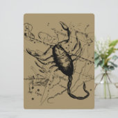 Scorpio Constellation Hevelius 1690 Decor (Staand voorkant)