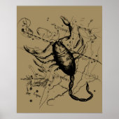 Scorpio Constellation Hevelius 1690 Decor Poster (Voorkant)