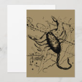 Scorpio Constellation Hevelius 1690 okt. 23 - nov. (Voorkant / Achterkant)