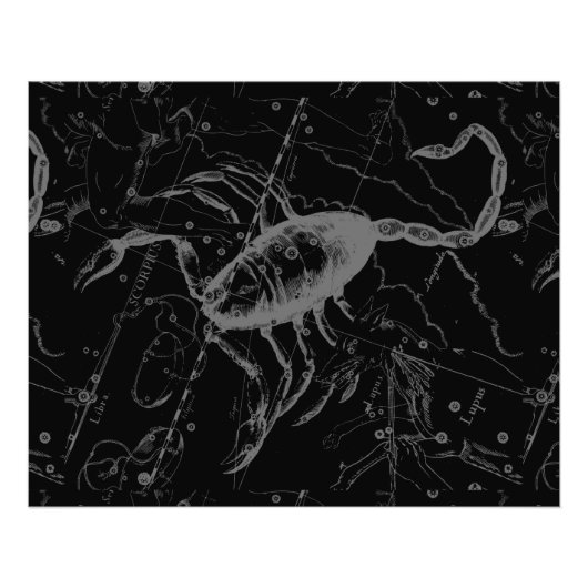Scorpio Constellation Hevelius 1690 on Black Foto Afdruk (Voorkant)