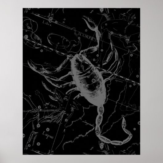 Scorpio Constellation Hevelius 1690 on Black Poster (Voorkant)