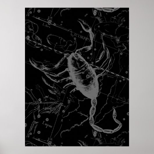 Scorpio Constellation Hevelius 1690  zwart Poster (Voorkant)