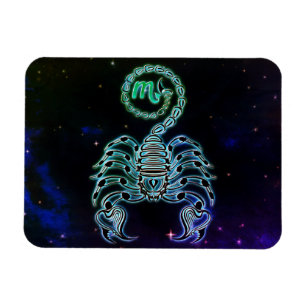 scorpio de scorpion zodiac magnet magneet