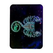 scorpio de scorpion zodiac magnet magneet (Verticaal)