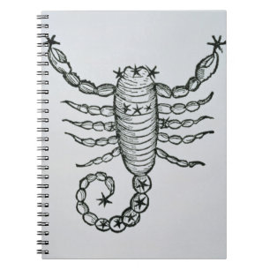 Scorpio (het Scorpion) een illustratie uit het P Notitieboek
