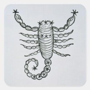 Scorpio (het Scorpion) een illustratie uit het P Vierkante Sticker