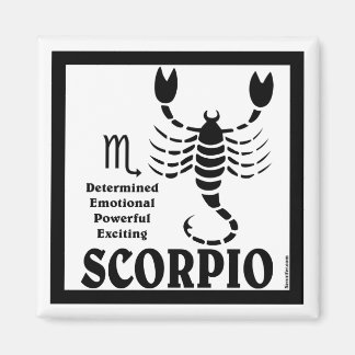Scorpio Magnet Magneet