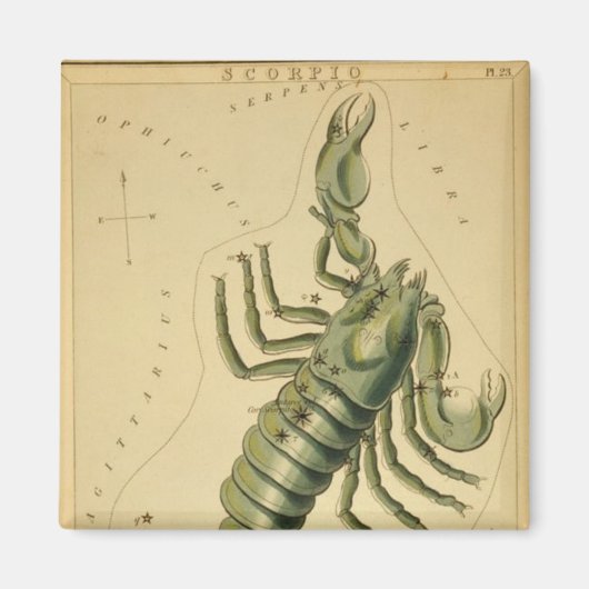 Scorpio Magnet Magneet (Voorkant)