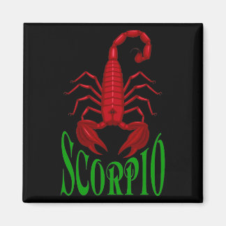 Scorpio Magnet Magneet