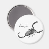 Scorpio Magnet Magneet (Voorkant / Achterkant)