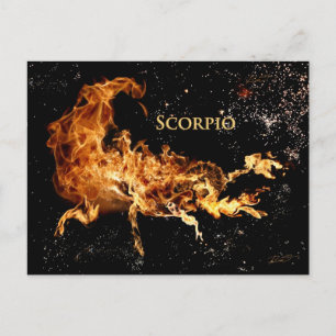 Scorpio Post Card - Zodiac-symbolen Briefkaart