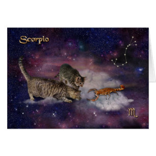 Scorpio voor kattenbroodjes