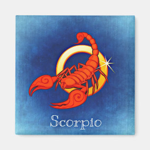 scorpio zodiac magnet magneet