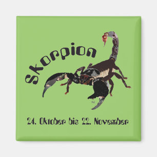 Scorpion 24 octobre au 22 novembre Aimant