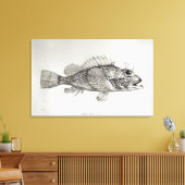 Scorpion Fish Canvas Afdruk (Insitu (Woonkamer))