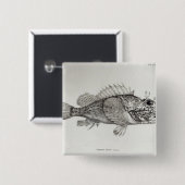 Scorpion Fish Vierkante Button 5,1 Cm (Voorkant /achterkant)