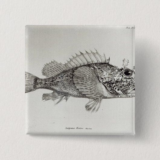 Scorpion Fish Vierkante Button 5,1 Cm (Voorkant)