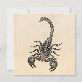 Scorpion-illustratie van Vintage 1800 - Scorpions