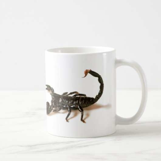 Scorpion Mok keizer (Rechts)