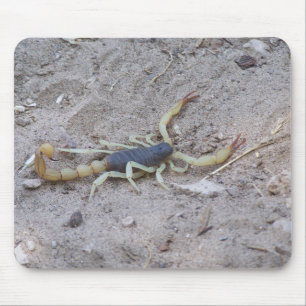 Scorpion Muismat