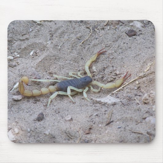 Scorpion Muismat (Voorkant)