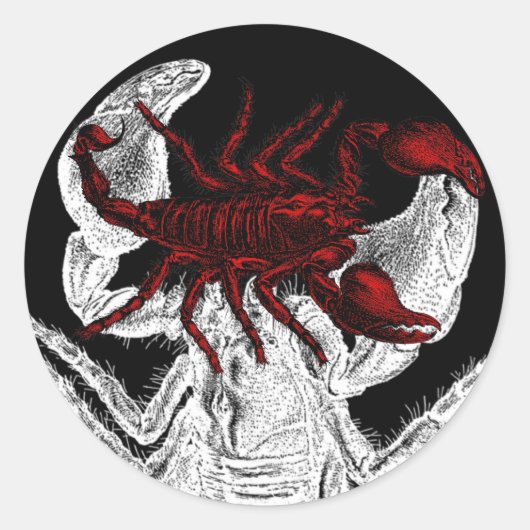 Scorpion rouge - Sticker (Devant)