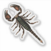 Scorpion! Sticker (Voorkant)
