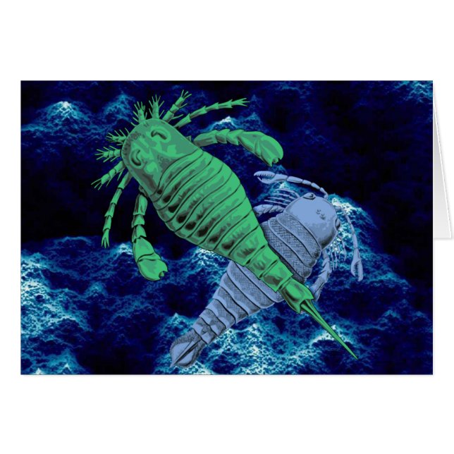 Scorpions de mer (Devant Horizontal)