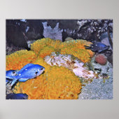 Scorpionvis op gele sponge poster (Voorkant)