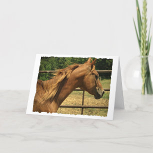 Scotch, Birthday Kaart