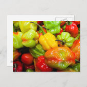 Scotch Bonnet Chili Peppers Briefkaart (Voorkant / Achterkant)