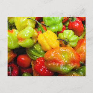 Scotch Bonnet Chili Peppers Briefkaart