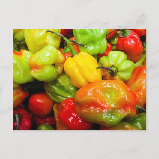 Scotch Bonnet Chili Peppers Briefkaart (Voorkant)