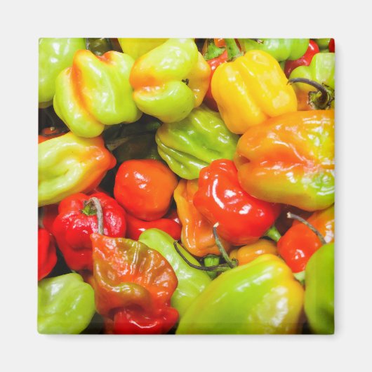 Scotch Bonnet Magneet (Voorkant)