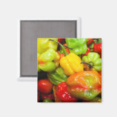 Scotch Bonnet Magneet (Voorkant / Achterkant)