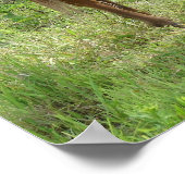 Scotch Eats Poster (Hoek)